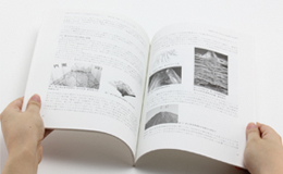 Journal of Institute of Advanced Media Arts and Sciences, Vol.1`